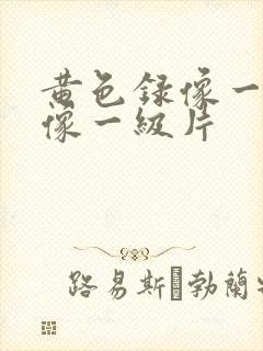 黄色录像一级录像一级片