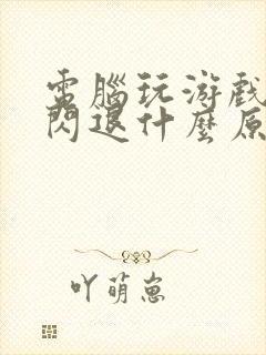 电脑玩游戏一直闪退什么原因