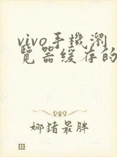 vivo手机浏览器缓存的视频怎么导出