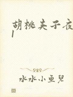 胡桃夹子夜未眠1