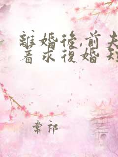 离婚后,前夫哭着求复婚 短剧