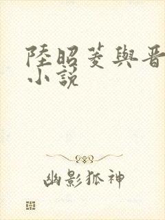 陆昭菱与晋王的小说