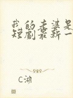 我的老婆是明星短剧最新一集