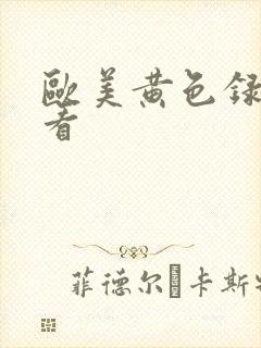 欧美黄色录像看看