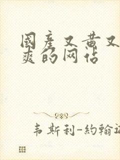 国产又黄又淫又爽的网站