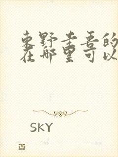 东野圭吾的小说在哪里可以看