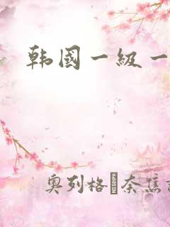 韩国一级一级片