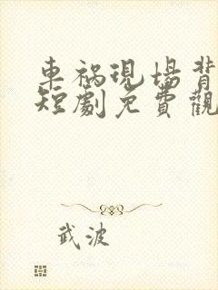 车祸现场背叛你短剧免费观看全集