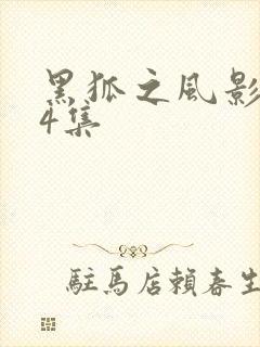 黑狐之风影第34集