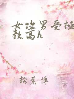 女攻男受极限调教高h