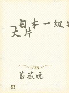 _日本一级特黄大片