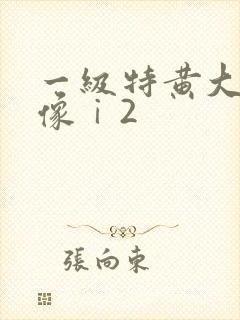 一级特黄大片录像ⅰ2