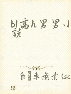 bl高h男男小说