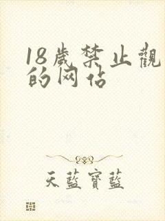 18岁禁止观看的网站