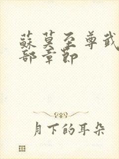 苏莫至尊武魂全部章节