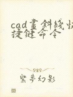 cad画斜线快捷键命令