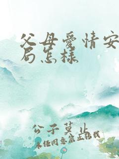 父母爱情安怡结局怎样