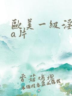 欧美一级淫aaa片