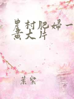 农村肥妇一级特黄大片