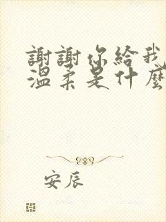 谢谢你给我爱的温柔是什么歌名