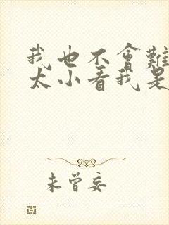 我也不会难过别太小看我是什么歌