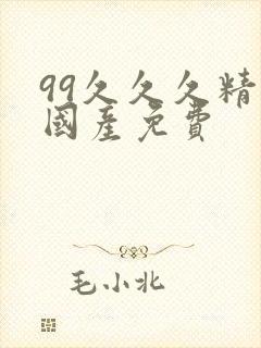 99久久久精品国产免费