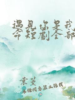 遇见你是我的宿命短剧全部播放