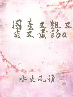 国产又粗又猛又爽又黄的a