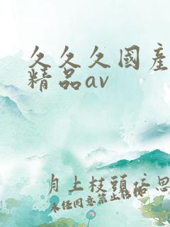 久久久国产亚洲精品av