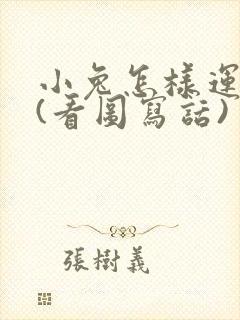 小兔怎样运南瓜(看图写话)