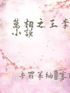 万相之王李洛的小说