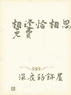 相逢恰相思全集免费