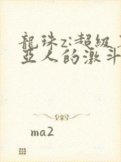 龙珠z:超级赛亚人的激斗