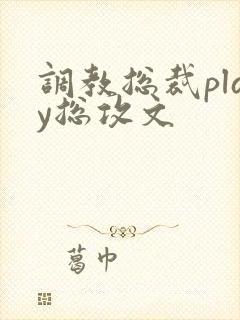 调教总裁play总攻文