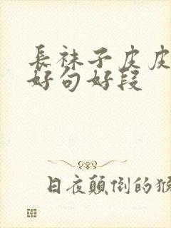 长袜子皮皮好词好句好段