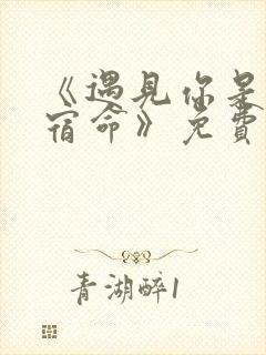 《遇见你是我的宿命》免费观看