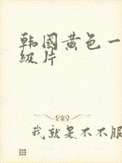 韩国黄色一黄色级片