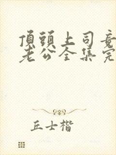 顶头上司竟是我老公全集完整版大结局