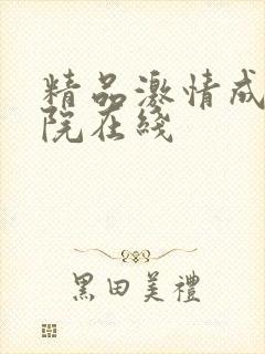 精品激情成人影院在线