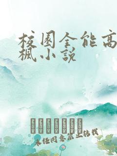 校园全能高手季枫小说