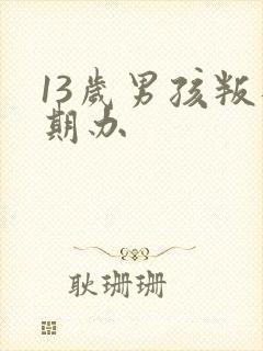 13岁男孩叛逆期办