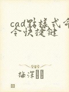 cad点样式命令快捷键
