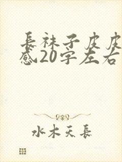 长袜子皮皮读后感20字左右