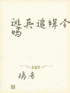 逃兵追缉令好看吗