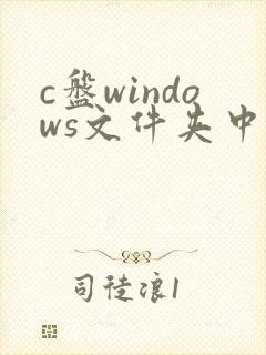 c盘windows文件夹中的哪些文件可以删