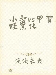 小智vs甲贺忍蛙黑化