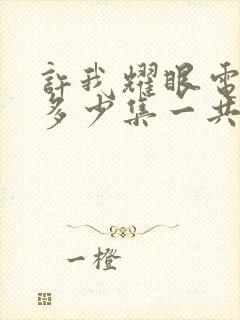 许我耀眼电视剧多少集一共几集