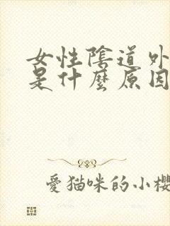 女性阴道外流血是什么原因