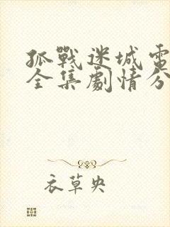 孤战迷城电视剧全集剧情分集介绍