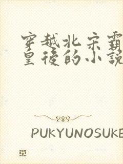 穿越北宋霸占了皇后的小说